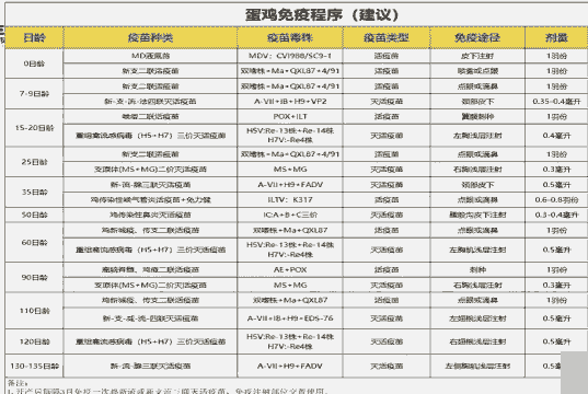 肉鸡抗体怎么算好