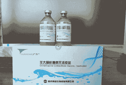 黑山羊一共有几种疫苗