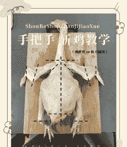 白羽肉鸡分割流程