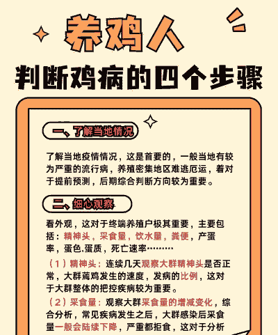 如何防止肉鸡生病