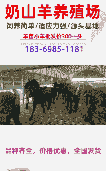 黑山羊养殖基地价格范围
