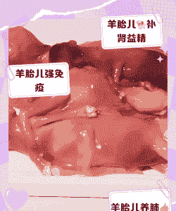 一只山羊可以产多少胎