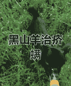 黑山羊常见病与治疗