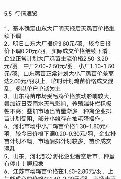 白羽肉鸡当前价格