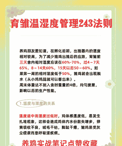 肉鸡育雏怎么降温