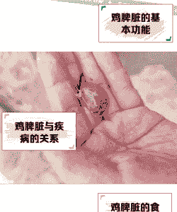 肉鸡脾脏肿大 白点