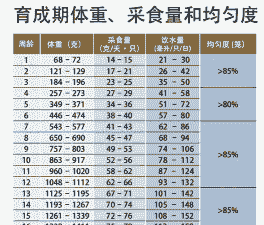 aa肉鸡标准体重