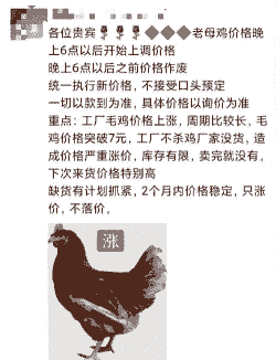 肉鸡价格为何下滑