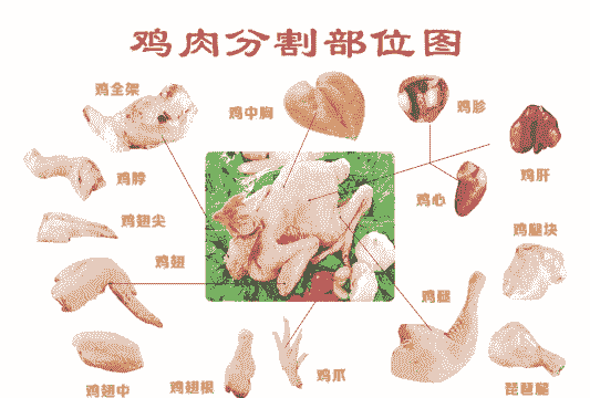 肉鸡分割多少品种