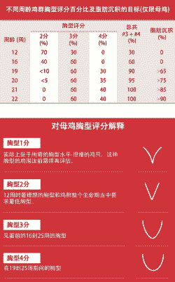 肉鸡欧洲指数标准