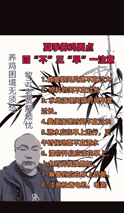 夏季肉鸡管理要素