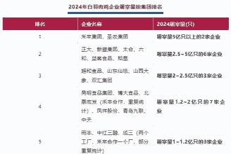 肉鸡屠宰国内排名