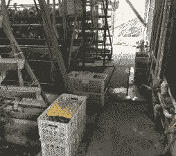 肉鸡下蛋怎么入库