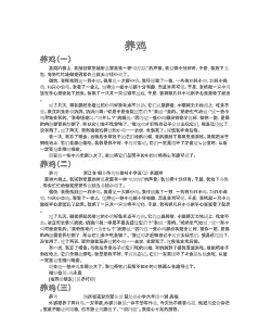 笼养肉鸡饲养感悟