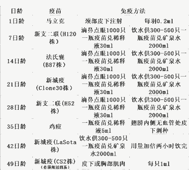 肉鸡饮水防疫程序