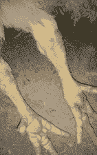 肉鸡死后鸡爪干燥