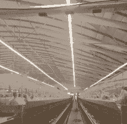 肉鸡通风由小到大