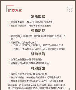 肉鸡栓堵治疗方案