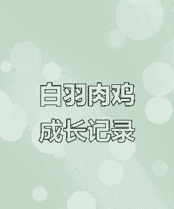 肉鸡开始换羽日龄