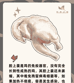 肉鸡不吃料的原因