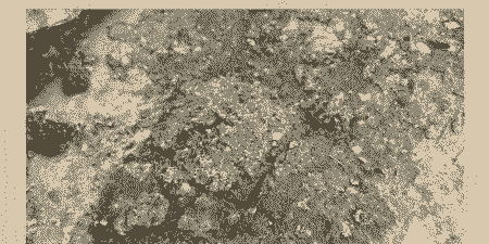 肉鸡拉绿色粪便病毒