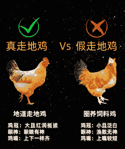笼养肉鸡怎么分合适