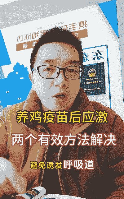 肉鸡疫苗后怎样护理