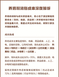 肉鸡的成本和收益