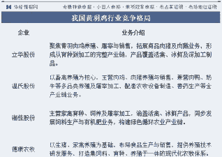 黄羽肉鸡行业现状