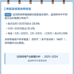 肉鸡出栏天数怎样计算