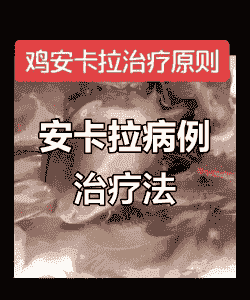 肉鸡安卡拉病治疗