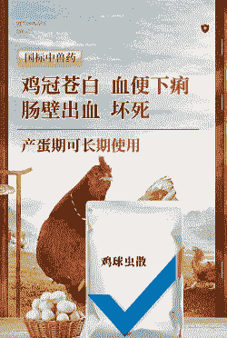 肉鸡多少天上病毒药