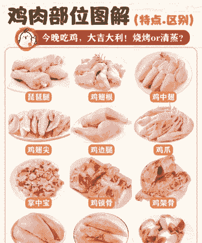 肉鸡分割各部位价格