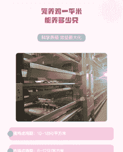 肉鸡笼养饲养密度