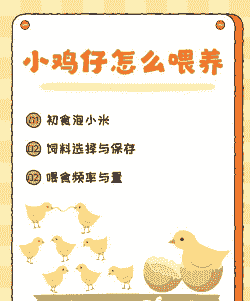 肉鸡的最佳喂料方法