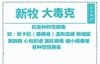 肉鸡黑肺病的预防