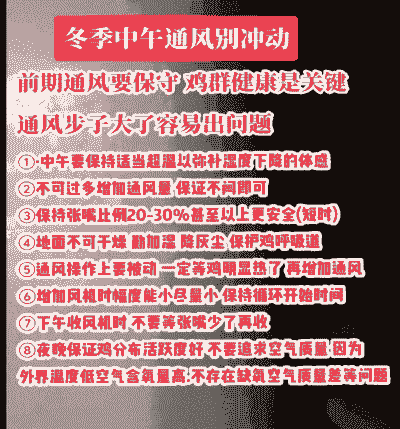 关于白羽肉鸡冬季通风
