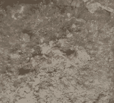 肉鸡不同球虫症状