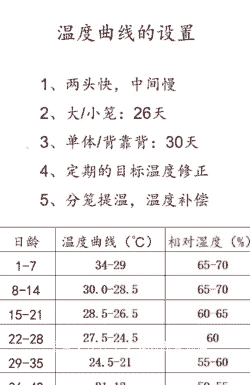 肉鸡每个阶段的温度