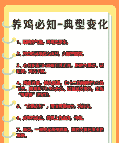 影响肉鸡生长的原因