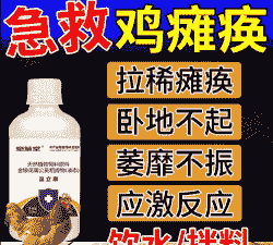肉鸡瘫痪用什么药