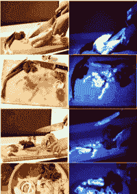 肉鸡用蓝色灯好吗