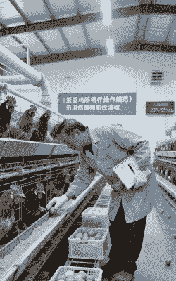 温度低促进肉鸡采食