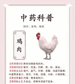 中药对肉鸡进行免疫