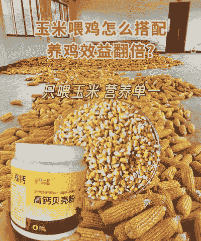 肉鸡饲料玉米替代