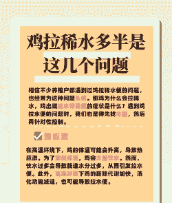 肉鸡喝水过多的原因
