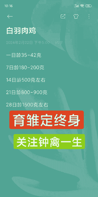 肉鸡周龄标准体重