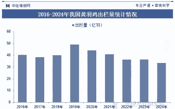 我国肉鸡产量规模