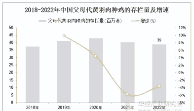 肉鸡出栏与存栏比例