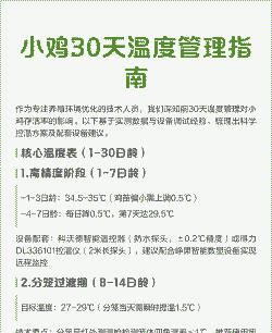 肉鸡夏天怎么控制温度